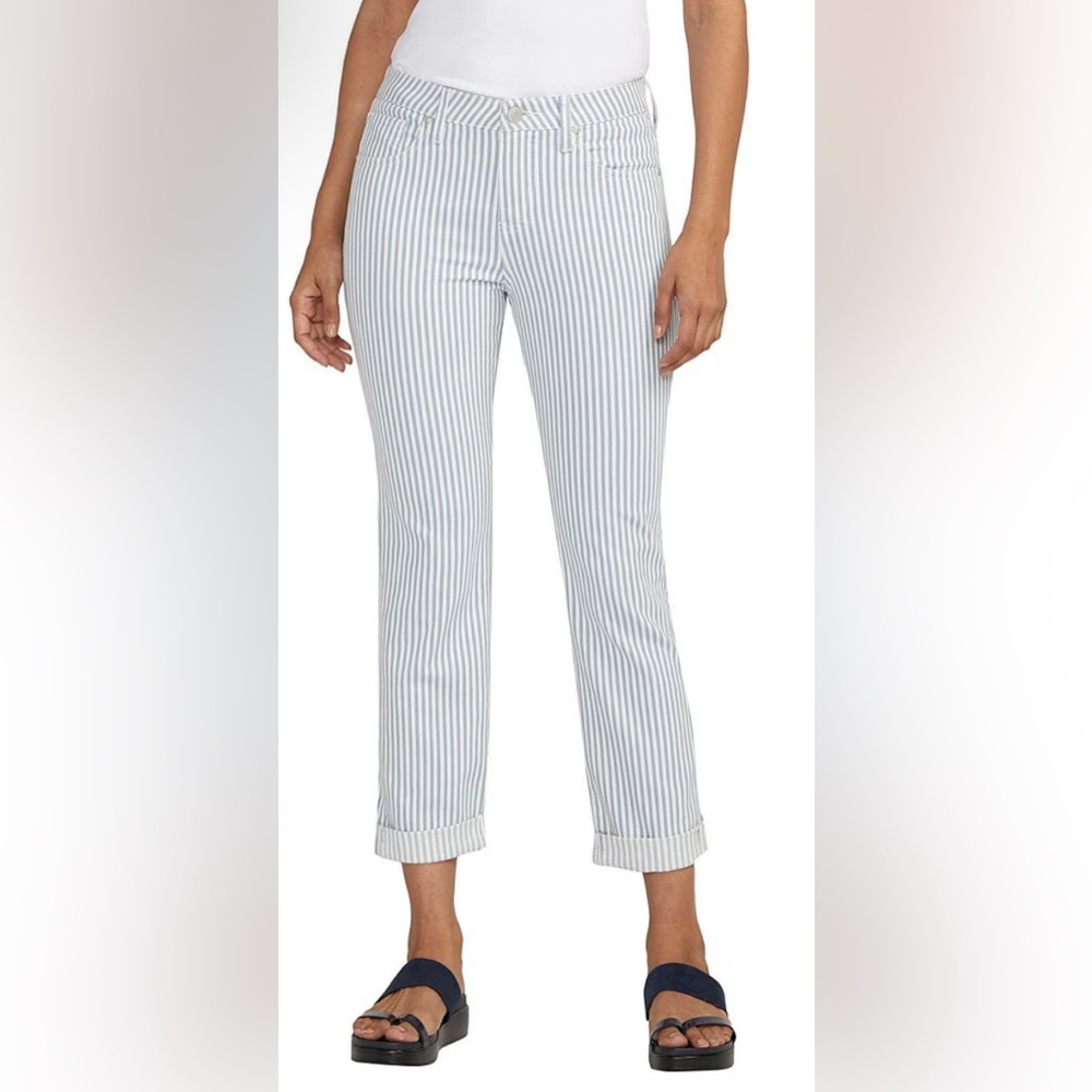 Jag Jeans Striped Ankle Cropped Pants